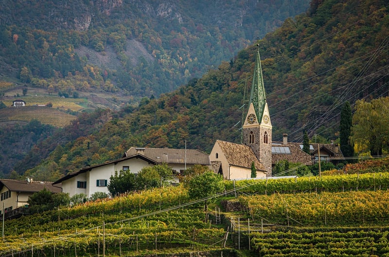 Scenic Vineyards